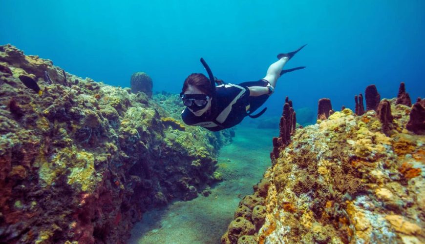 The Dominican Top Adventure Activities You Must Try