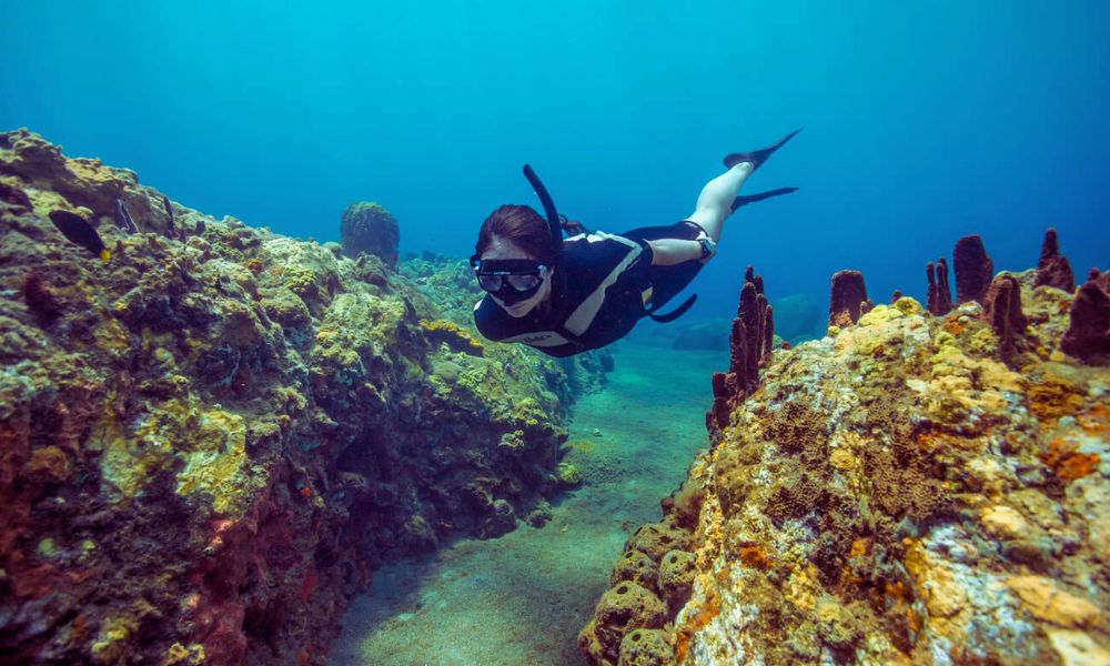 The Dominican Top Adventure Activities You Must Try