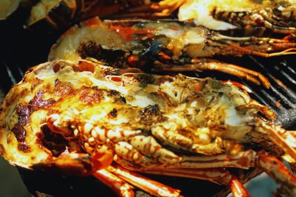 The Rich Flavors of Dominican Cuisine​