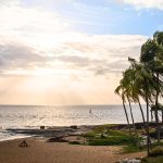 The Ultimate Beach Guide to French Guiana Pristine Shores