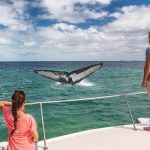The Ultimate CultuThe Ultimate Hot Spring Tour And Adventure of Dominicaral Tour of Dominica Art, Festivals, and More