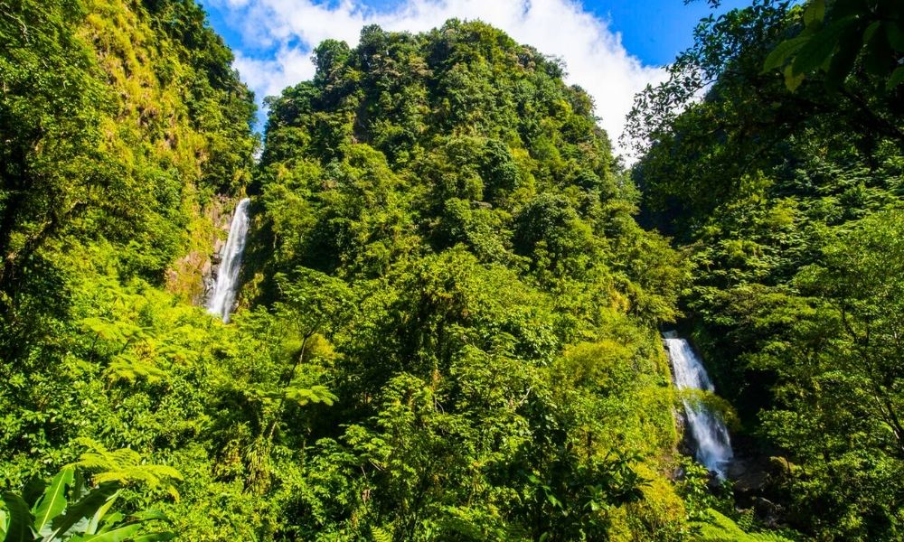 Trafalgar Falls Best Eco-Tours in Dominica