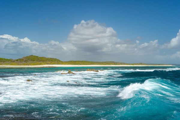 The Ultimate Beach Guide to Guadalupe