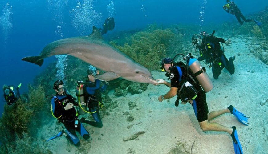 Discover Curaçao A 7-Day Itinerary For The Ultimate Caribbean Adventure