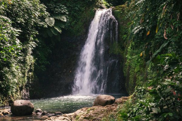 Explore Grenada’s Green Heart