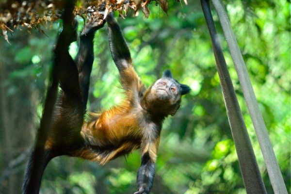 Exploring Guyana’s Natural Beauty