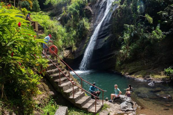 Local Conservation Efforts The Best of Eco-Conscious Travel in Grenada