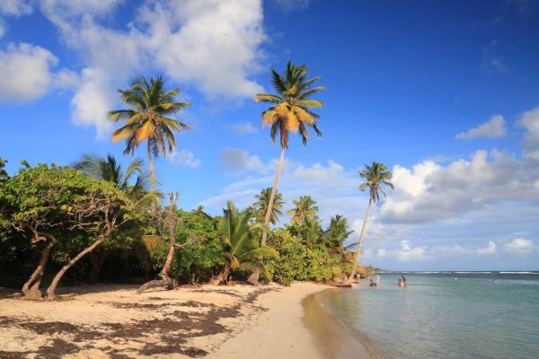 The Ultimate Beach Guide to Guadalupe
