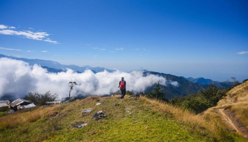 The Best of Eco-Conscious Travel in Grenada