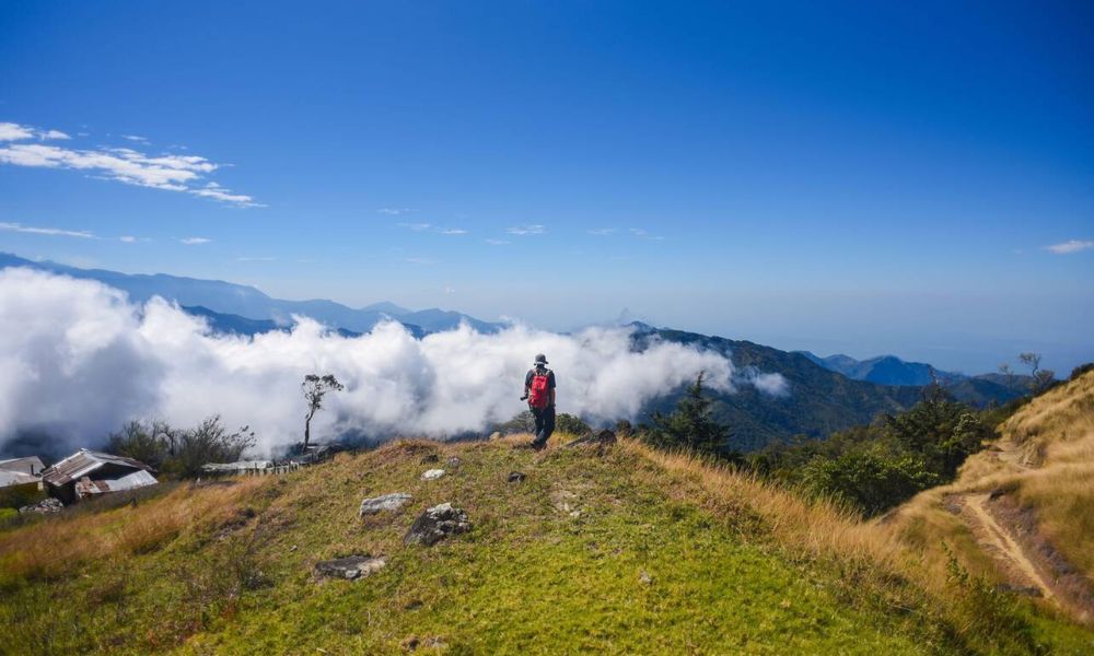 The Best of Eco-Conscious Travel in Grenada: A Green Traveler’s Dream