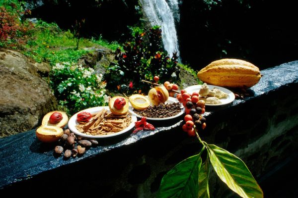 The Spice of Grenada