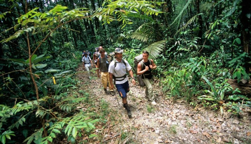 The Ultimate Eco-Tourist’s Guide to French Guiana