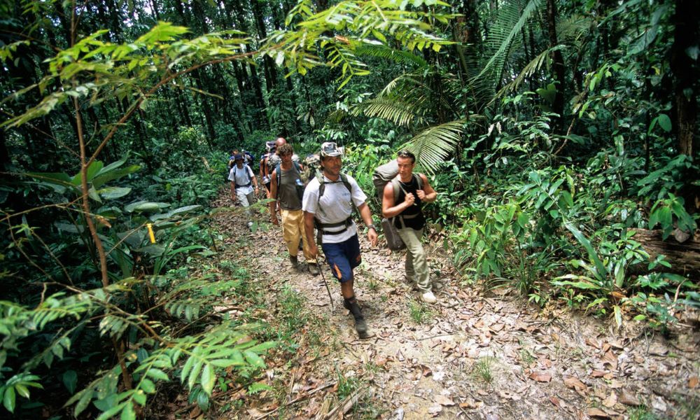 The Ultimate Eco-Tourist’s Guide to French Guiana