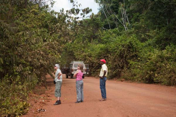 Top Birdwatching Destinations in Guyana