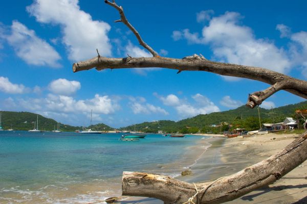 Tyrrel Bay Top 7 Must-Visit Beaches in Grenada