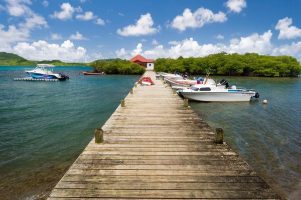 Top Snorkeling And Diving Spots In Martinique
