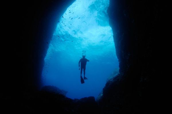 Top Snorkeling And Diving Spots In Martinique