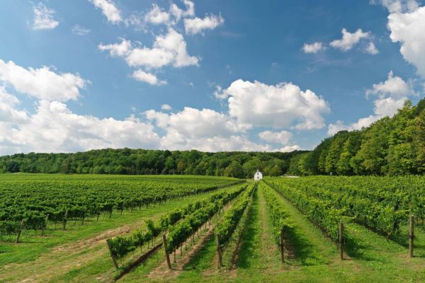 Engage in Sustainable Agriculture Tours