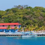 How To Plan A Nature And Wildlife Trip To Haiti