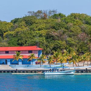 How To Plan A Nature And Wildlife Trip To Haiti