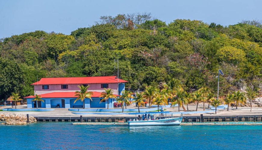 How To Plan A Nature And Wildlife Trip To Haiti