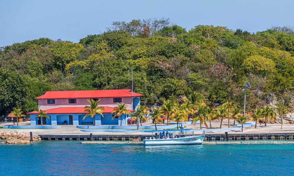 How To Plan A Nature And Wildlife Trip To Haiti