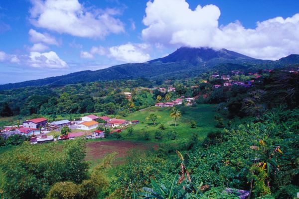 Immerse Yourself in Martinique’s Lush Rainforests