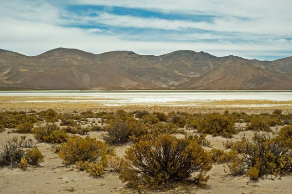 Nature And Wildlife Trip To Haiti