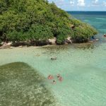 Top Snorkeling And Diving Spots In Martinique