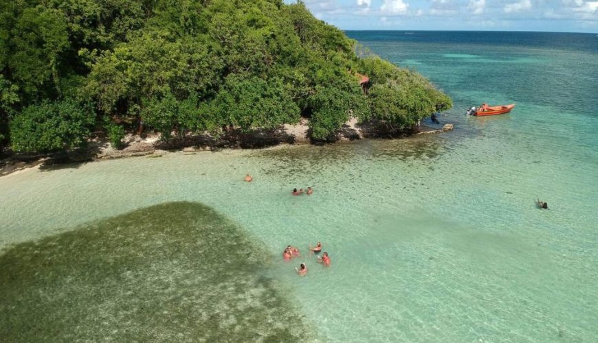 Top Snorkeling And Diving Spots In Martinique