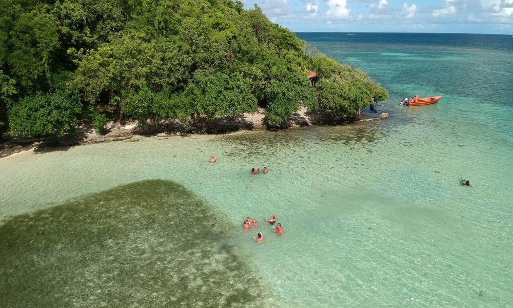 Top Snorkeling And Diving Spots In Martinique