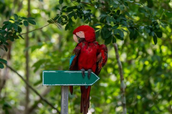 Haiti’s Eco Resorts