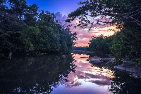 French Guiana