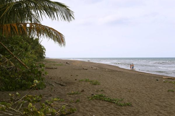 Playa Tortuguero The Ultimate Guide to Puerto Rico’s Best Hidden Beaches