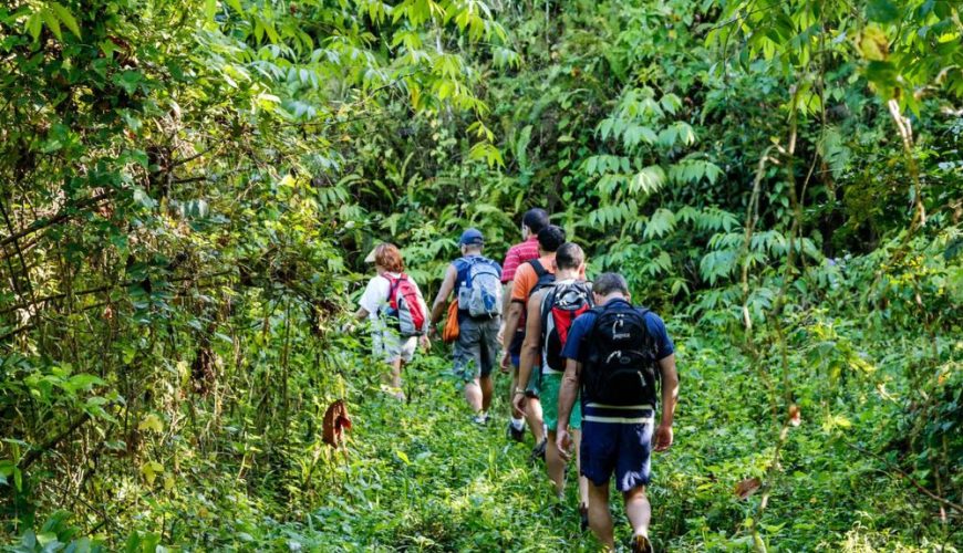 The Best Adventure Trails in Puerto Rico