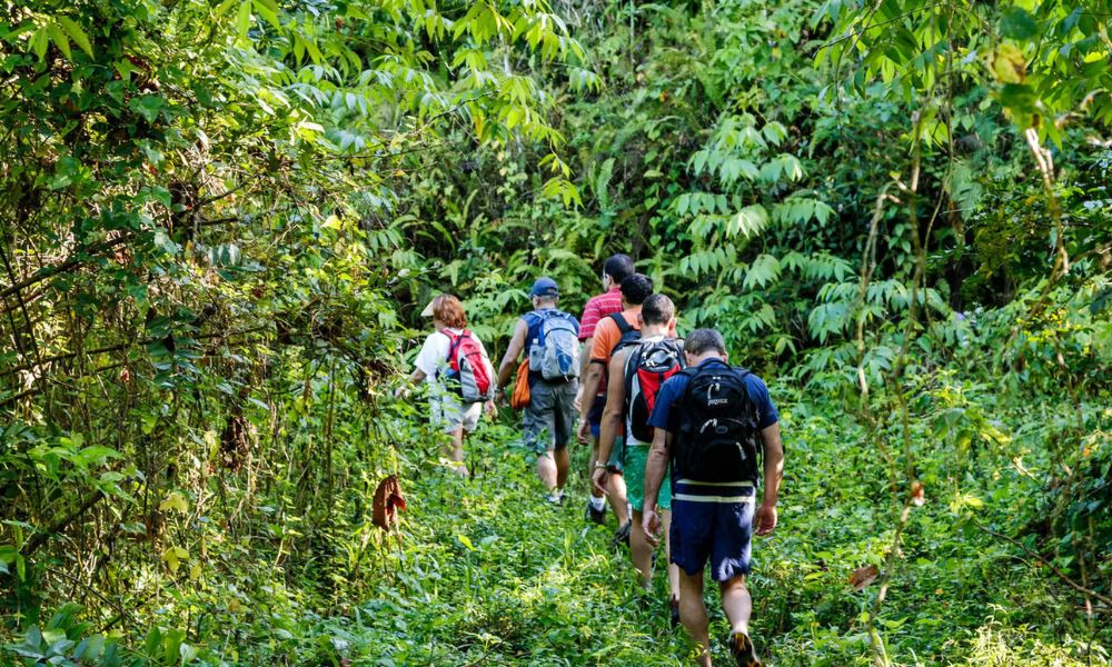 The Best Adventure Trails in Puerto Rico for the Ultimate Outdoor Escape