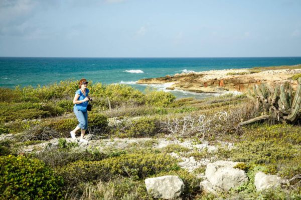 The Guanica Dry Forest The Best Adventure Trails in Puerto Rico