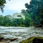 The Ultimate Eco-Adventure Guide to French Guiana