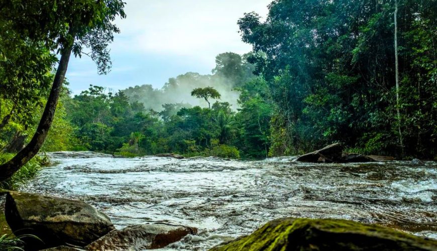 The Ultimate Eco-Adventure Guide to French Guiana