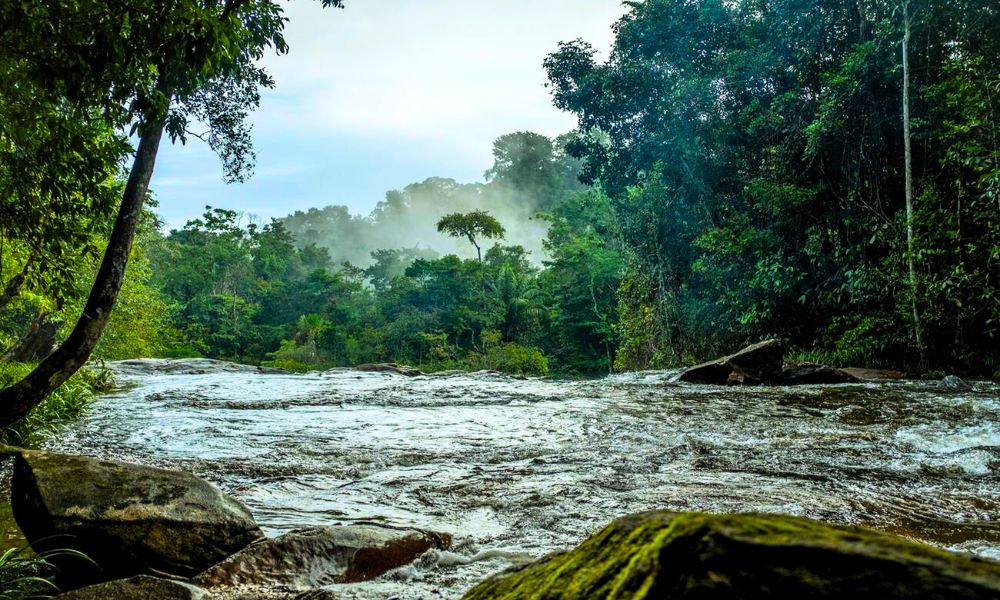 The Ultimate Eco-Adventure Guide to French Guiana