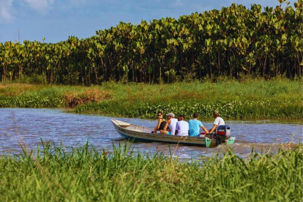 Top Eco-Friendly Attractions